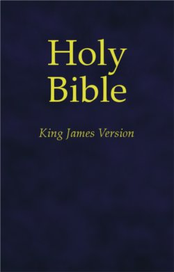 King James Version, Holy Bible